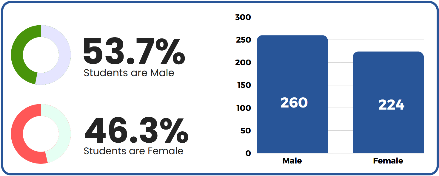Darchula Lab Demography Chart